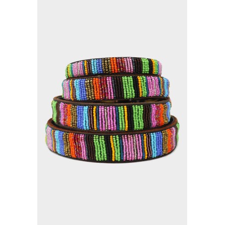 Limited Edition Dog Collar | Full Beaded Multishine New Release