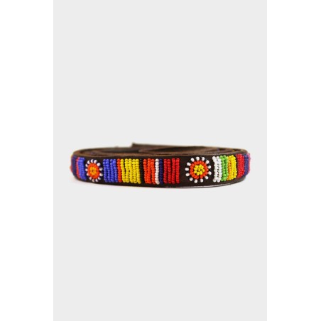 Limited Edition Dog Lead | Maasai Multi Limited Stock