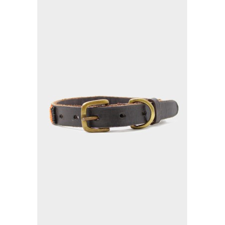 Limited Edition Arrow and Disc Dog Collar Thin | Multi Hot New Item