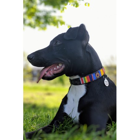 Limited Edition Dog Collar | Maasai Multi New Release